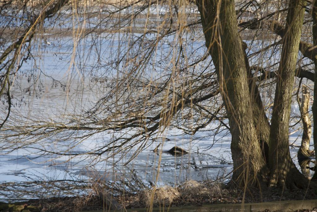 Villa Weissensee Poczdam Zewnętrze zdjęcie