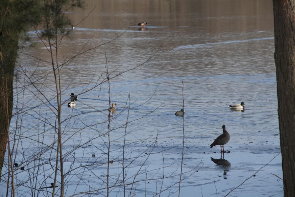 Villa Weissensee Poczdam Zewnętrze zdjęcie
